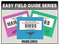 Easy Field Guide Series